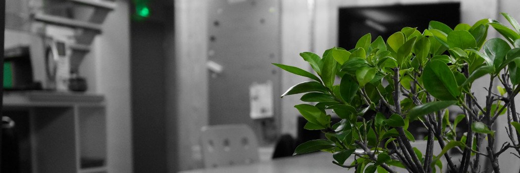 Hakim Bimazgane banner