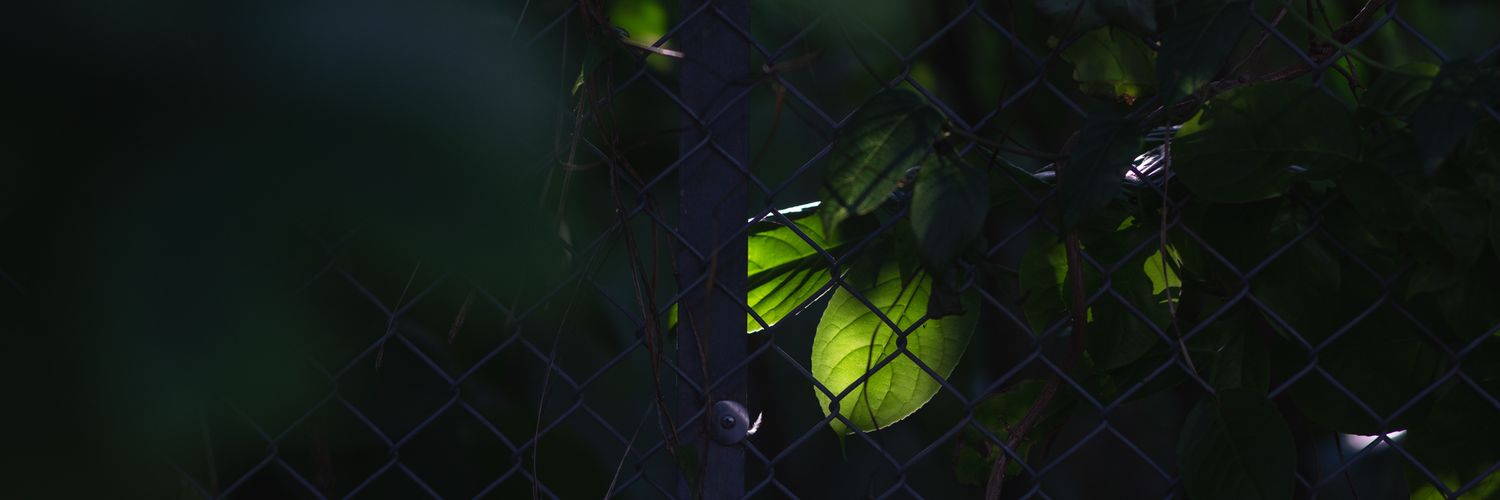 bsk_45's profile banner image
