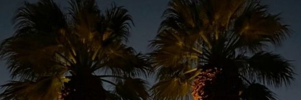 n_2the_h Profile Banner