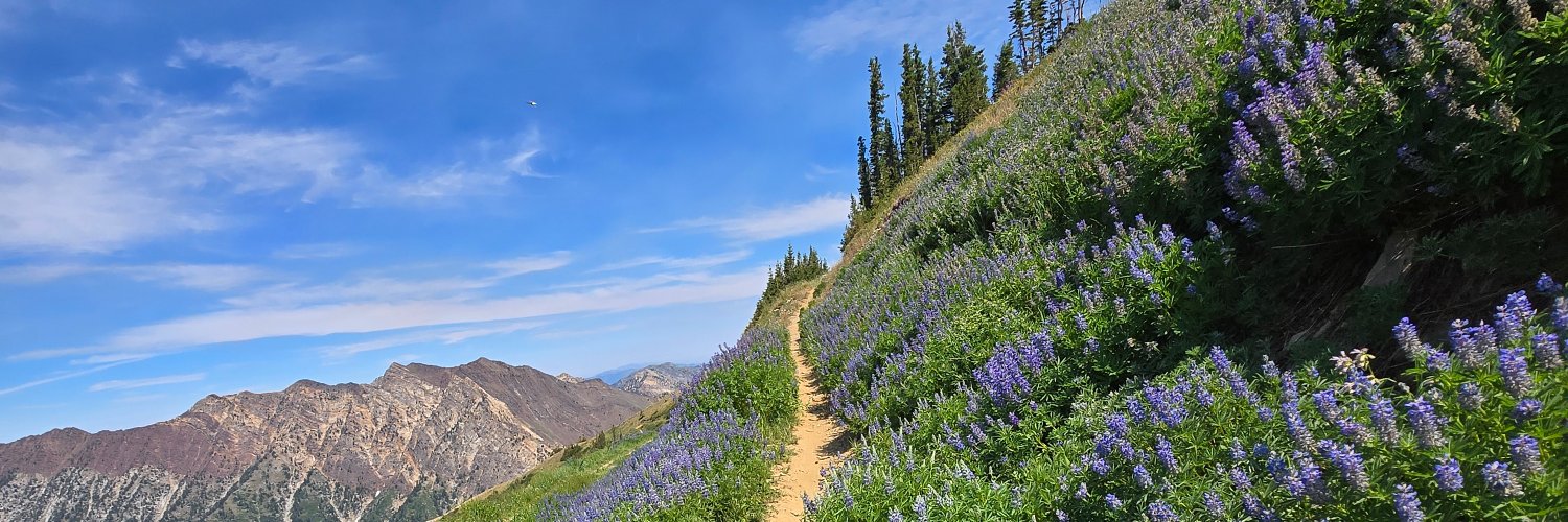 Wasatch Wanderer banner