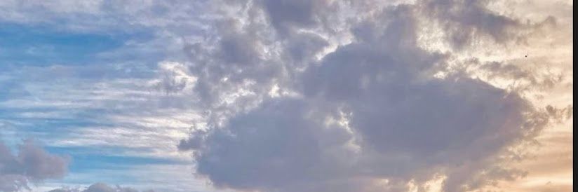 SandyMa64042394's profile banner image