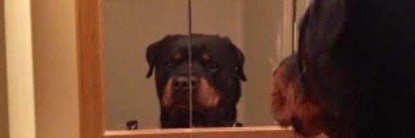 yaphet_wmoundi Profile Banner