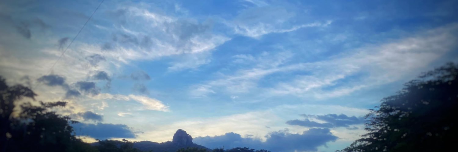 ROLEGUTI banner