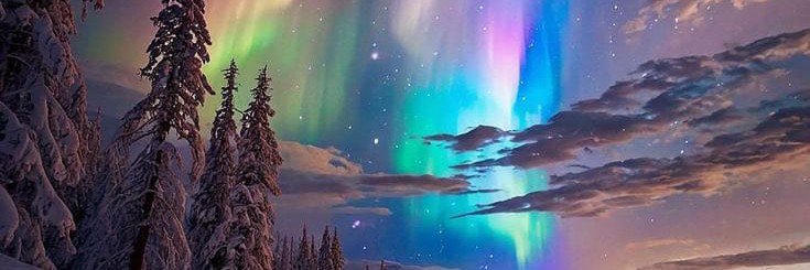 DukeMoi's profile banner image