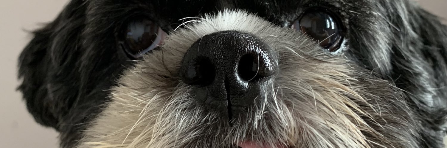 _letimara's profile banner image