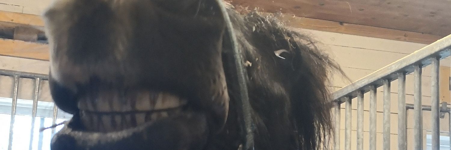 Jonas Ali Ghanizadeh banner