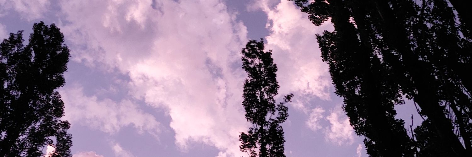 Joacopm's profile banner image