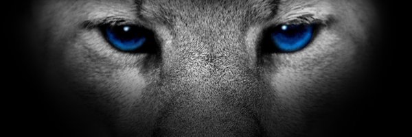 BillB5252 Profile Banner