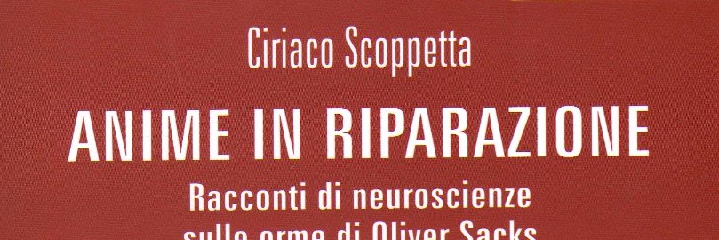GigiScoppetta's profile banner image