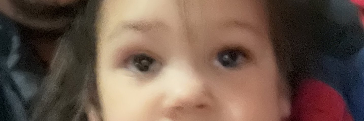 #seahawksordie!! banner