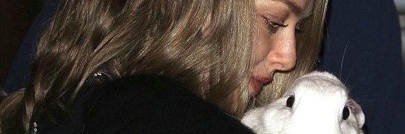 gayindividual's profile banner image