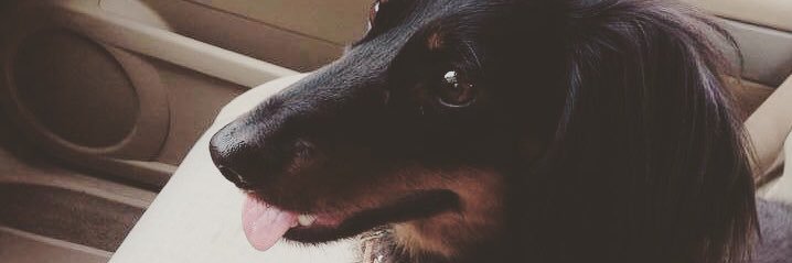 hungriestESKIMO's profile banner image