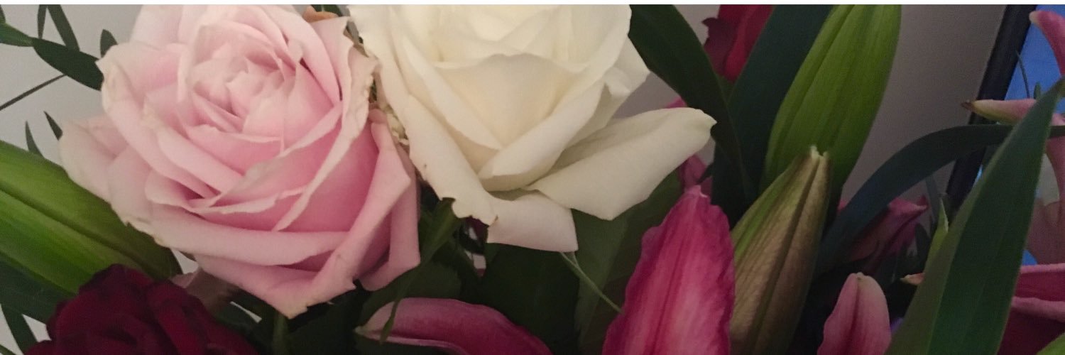 Laura Jayne Stacey banner