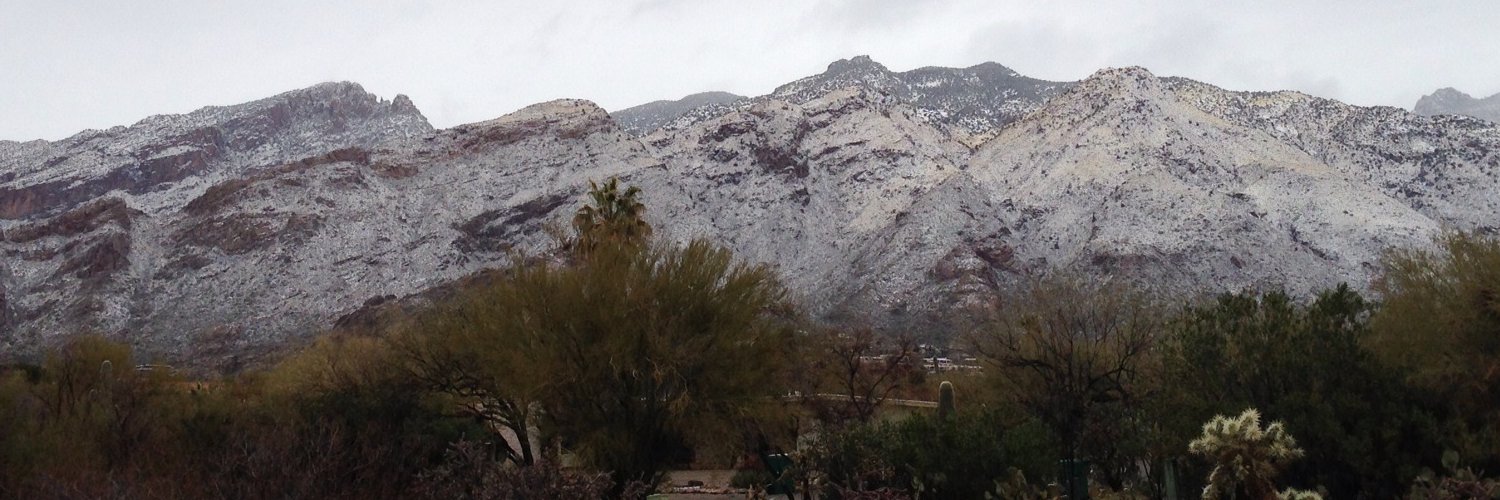 Alan Petersen banner