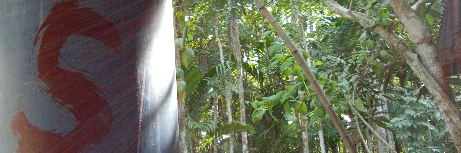 Sadiqur Rahman banner