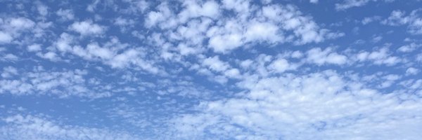 Juliacampos2x Profile Banner