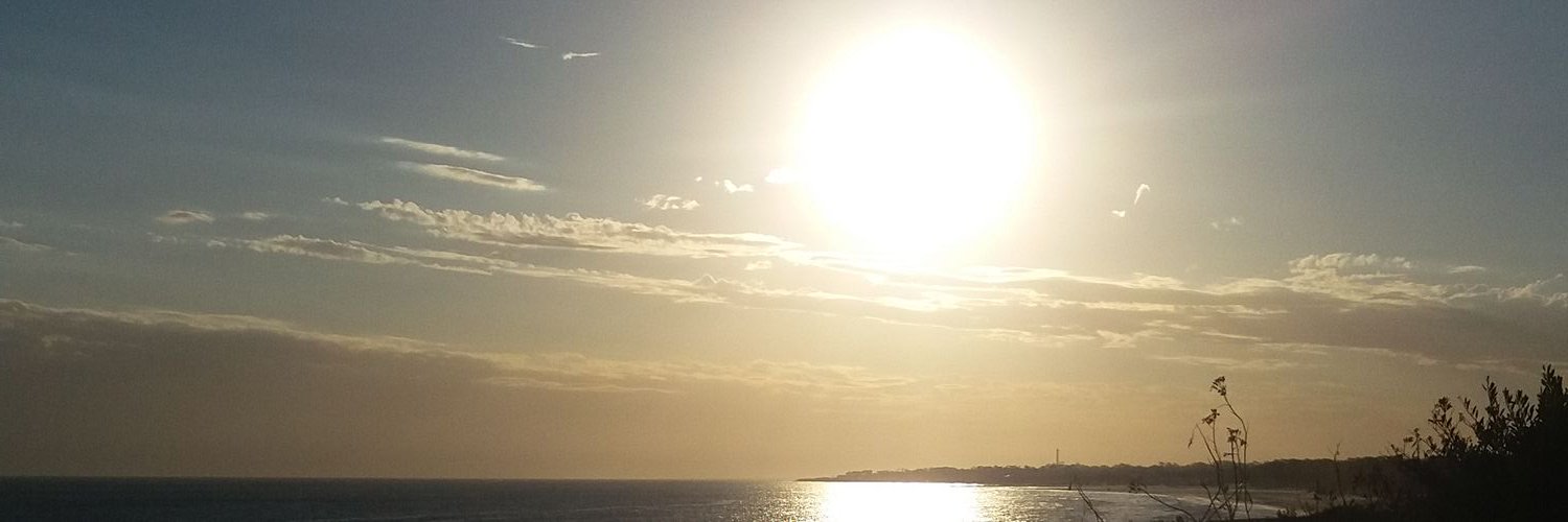 lachicapirita's profile banner image