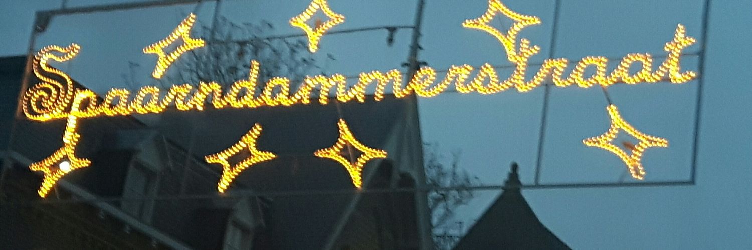 Ringert Heij banner