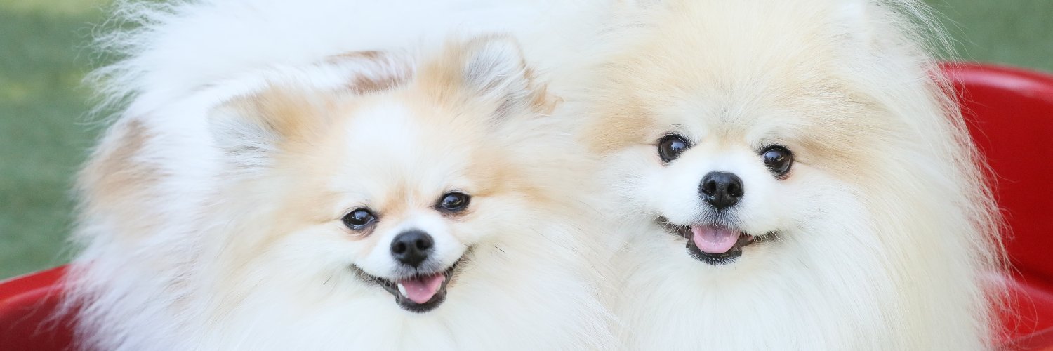 tomooyeah's profile banner image