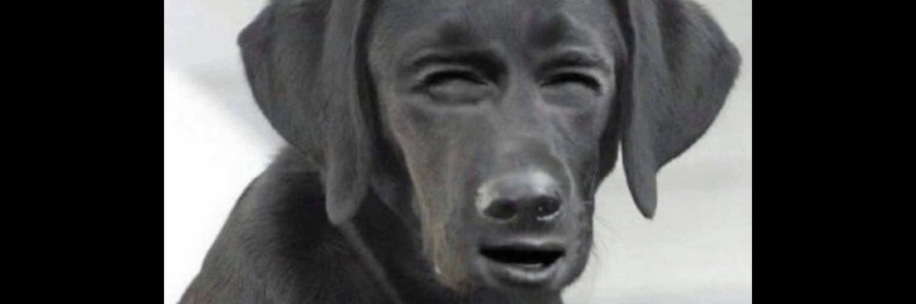 KarolayneDebora's profile banner image