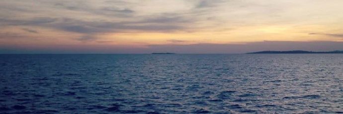 dtegule's profile banner image