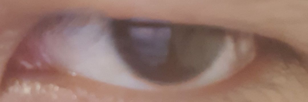 CrypticF9's profile banner image