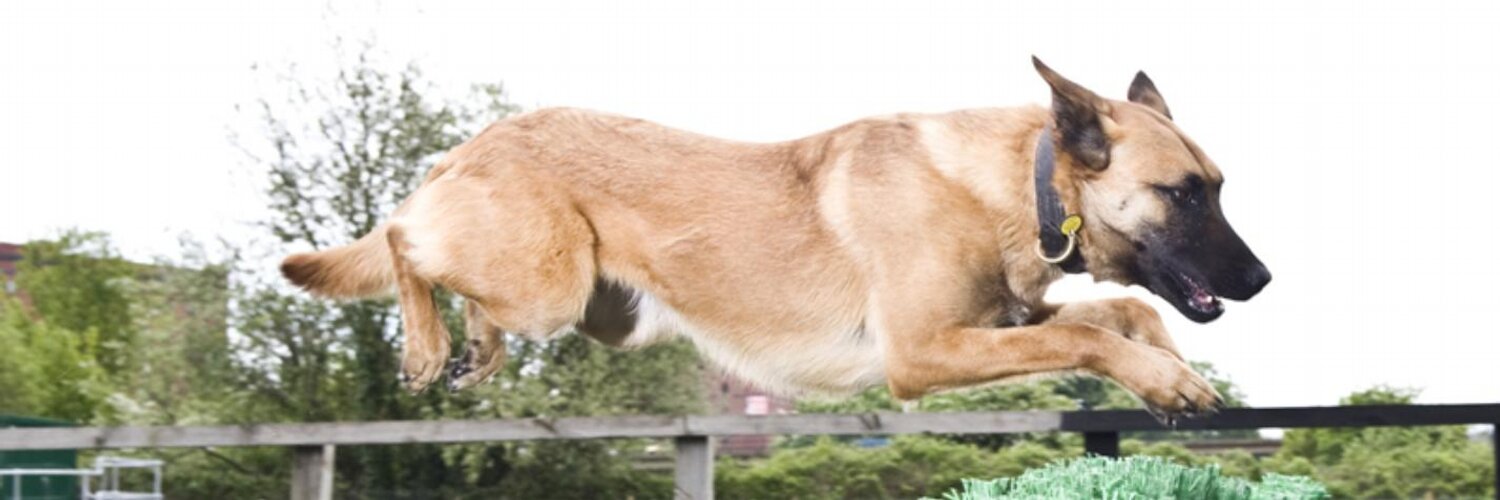 ASPoliceDogs Profile Banner