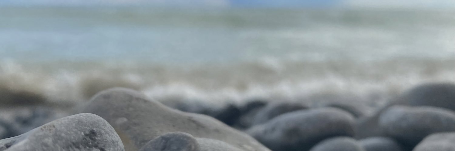 Sylvie Tremblay banner