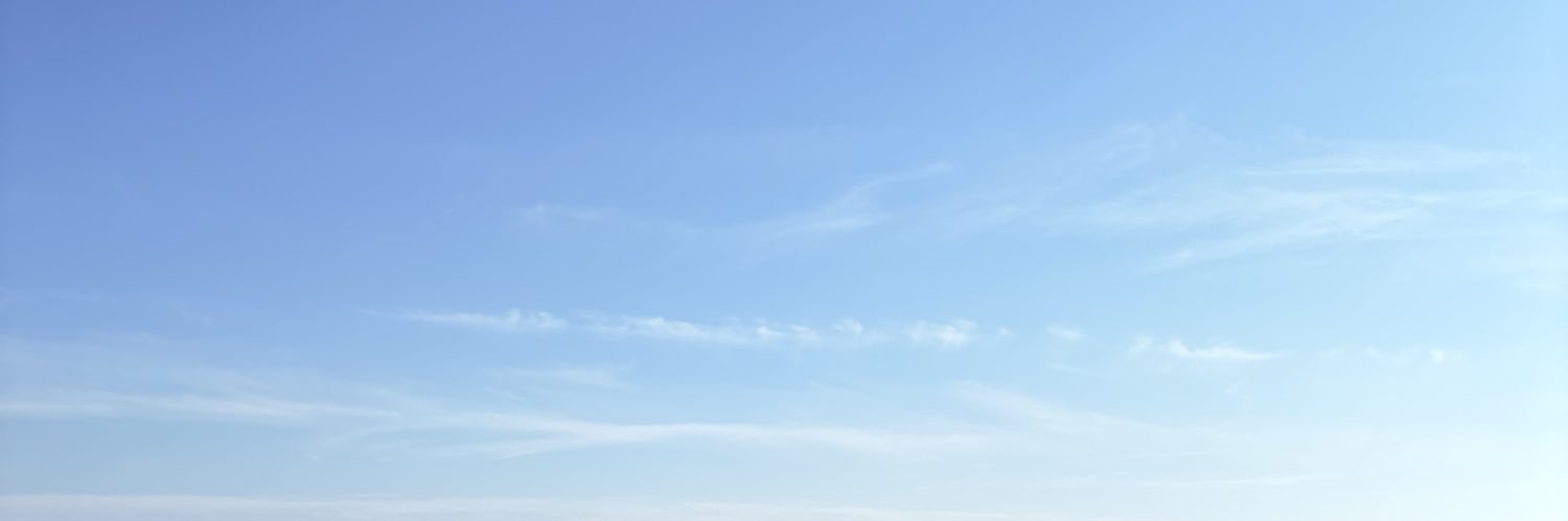 somiflies's profile banner image