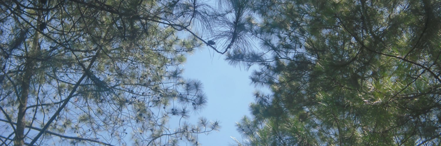 2ofswitipo's profile banner image