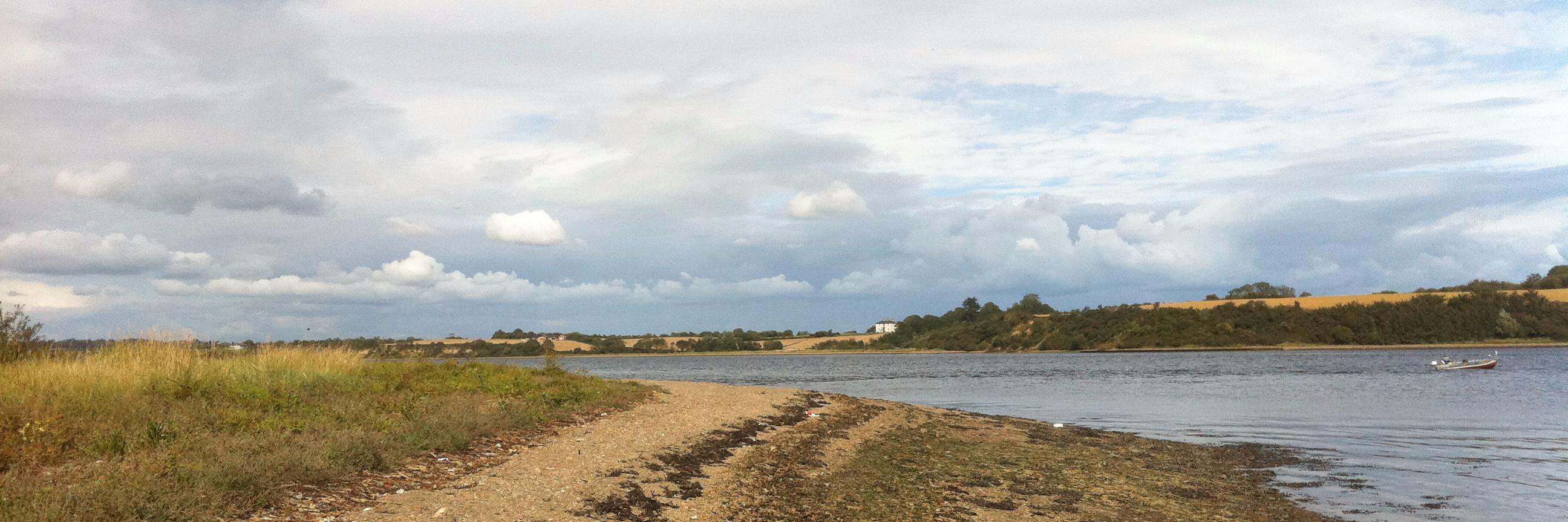 Peter O'Connor banner