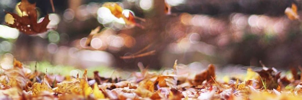 monilucass's profile banner image