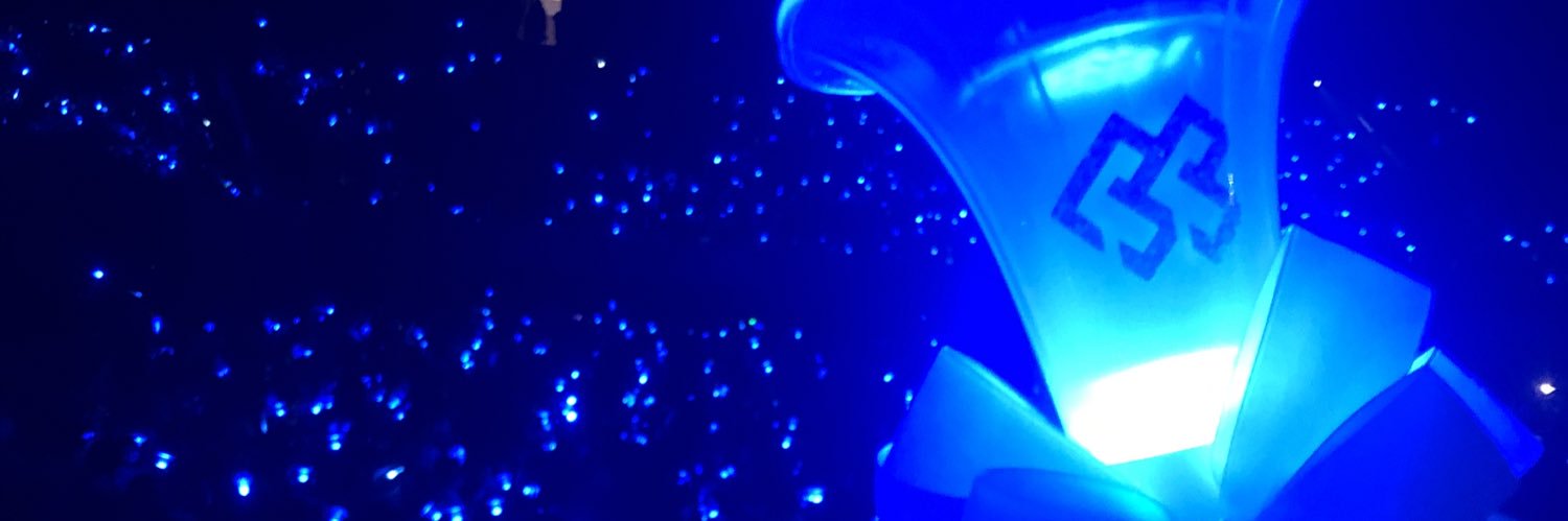 ♔ mєℓσdч ♔ banner