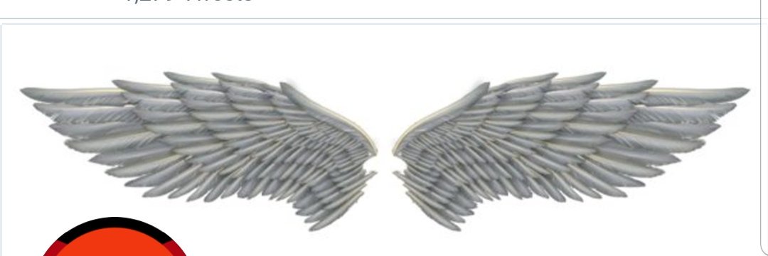 gorangas22's profile banner image