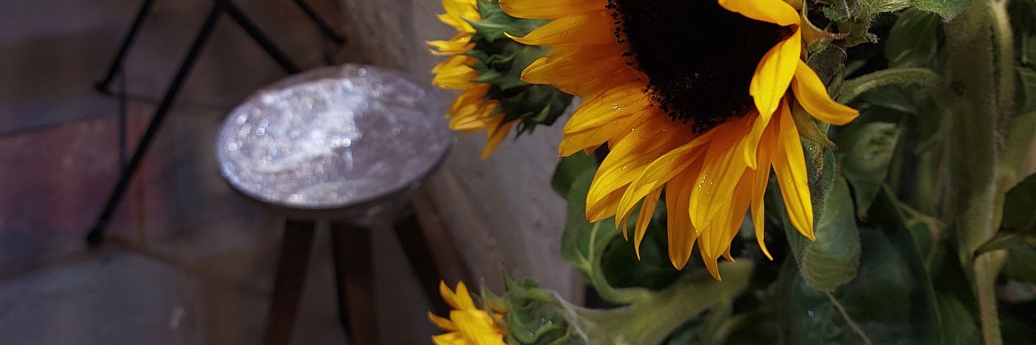 𝙨𝙚𝙩𝙞 banner