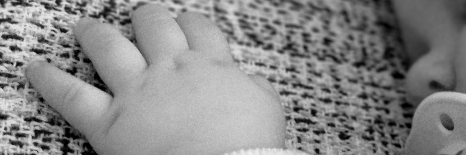 Rocio18512's profile banner image