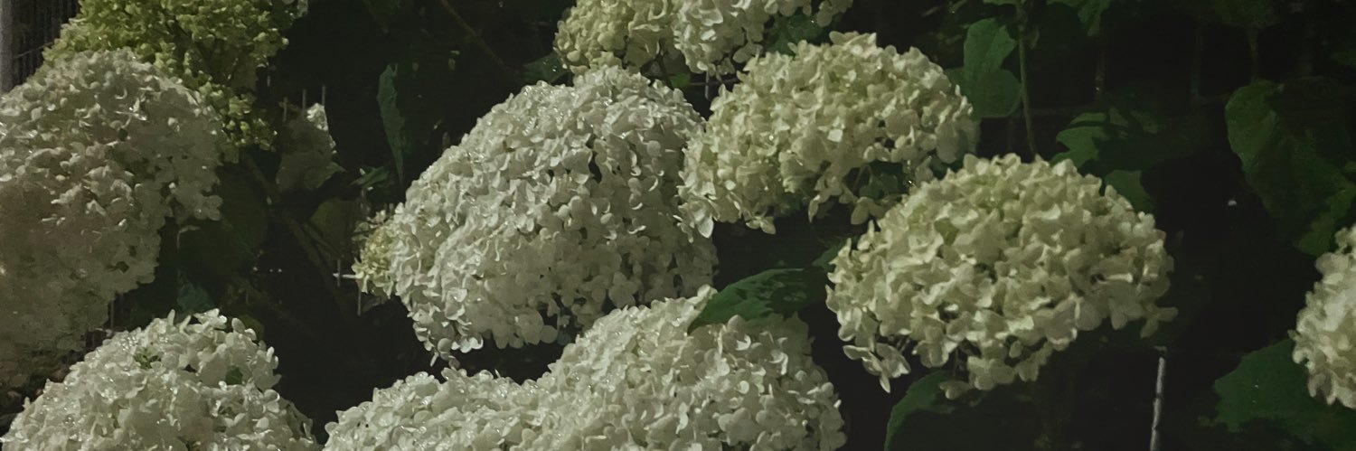 junjun_563's profile banner image