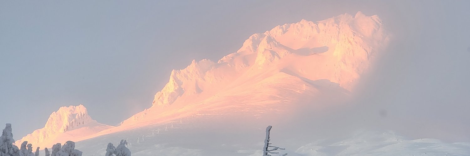 roizen banner