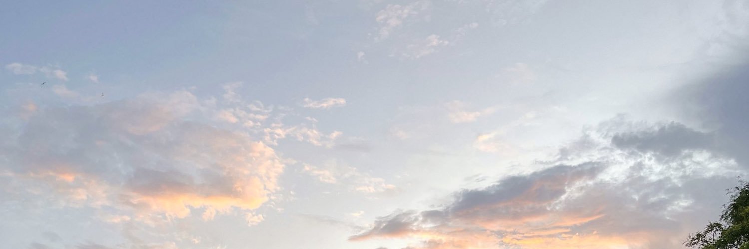 n banner