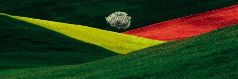 Eduardo Mórlan banner