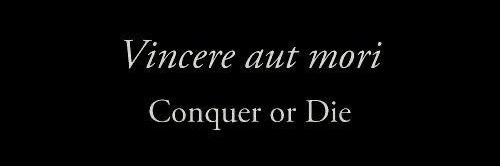 Tannu Choudhary banner