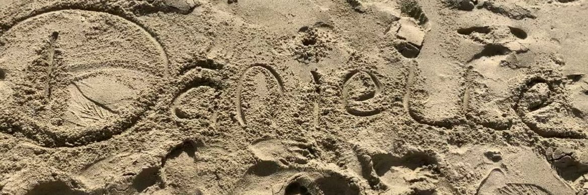 💗 Danielle 💗 banner