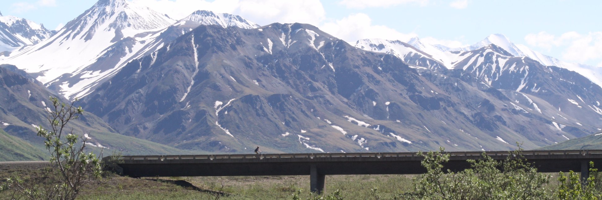 nathanpitt's profile banner image