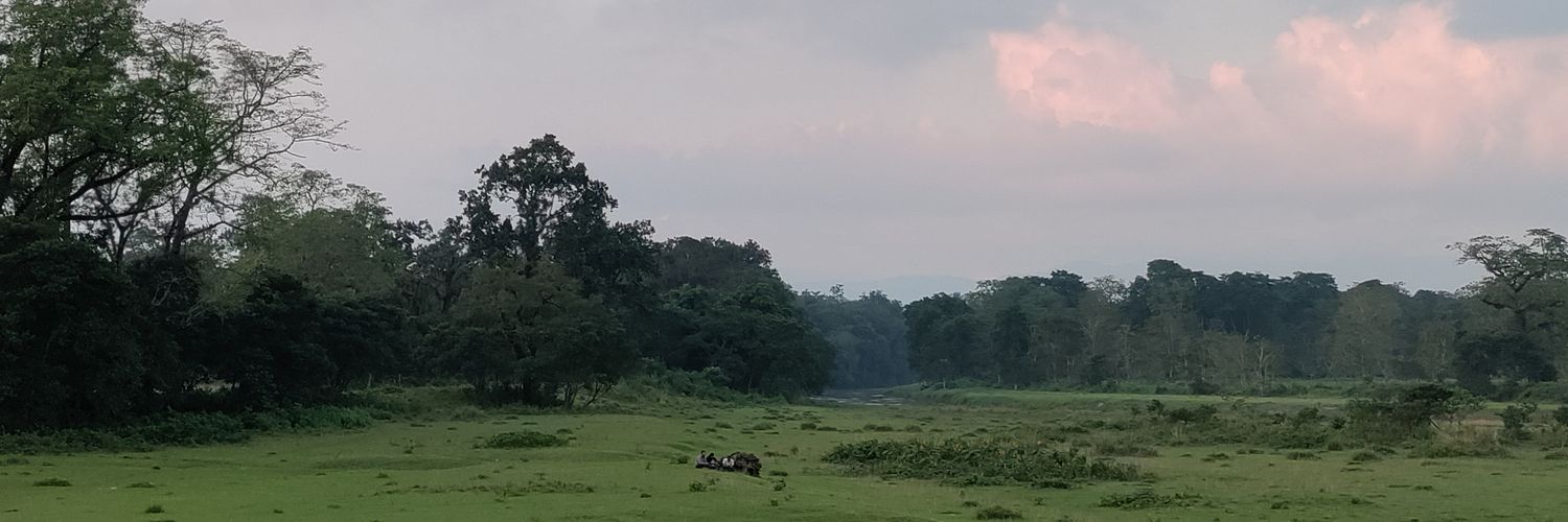 Psngtmg99's profile banner image