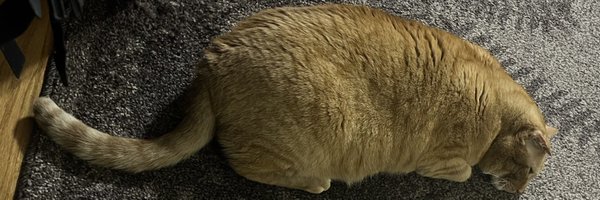 cornkiko Profile Banner