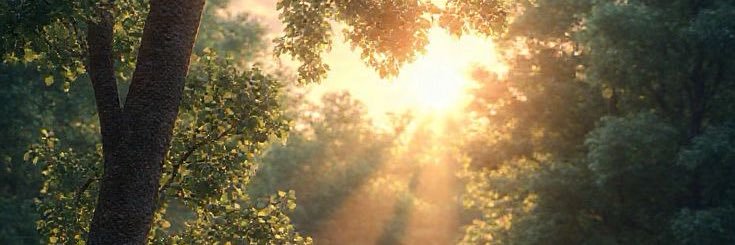 xonyaa_'s profile banner image