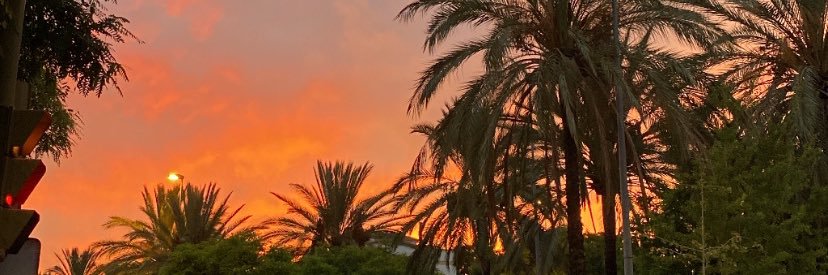 …….. banner