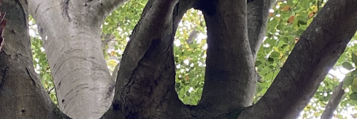 TheRealBigLife's profile banner image