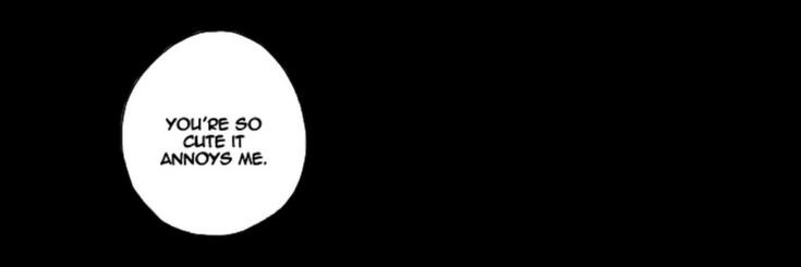 Toddy Determinado banner