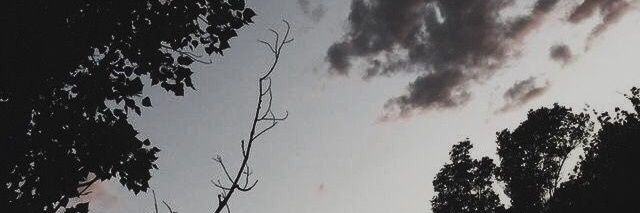 MonrudeeTan's profile banner image